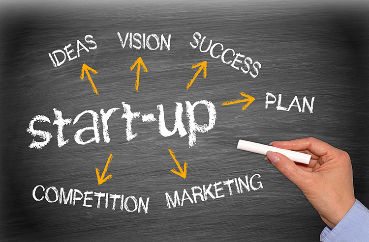 Start Up Info Graphic